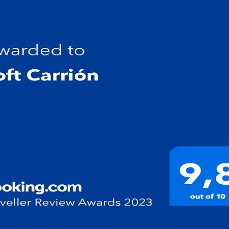 Loft Carrion Apartment Carrion De Los Condes Ngoại thất bức ảnh