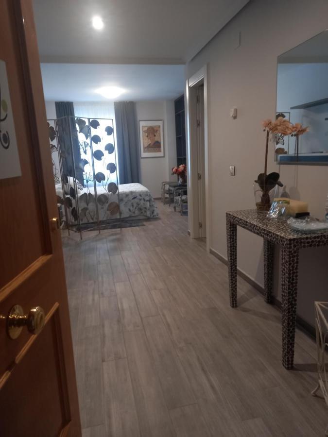 Loft Carrion Apartment Carrion De Los Condes Ngoại thất bức ảnh